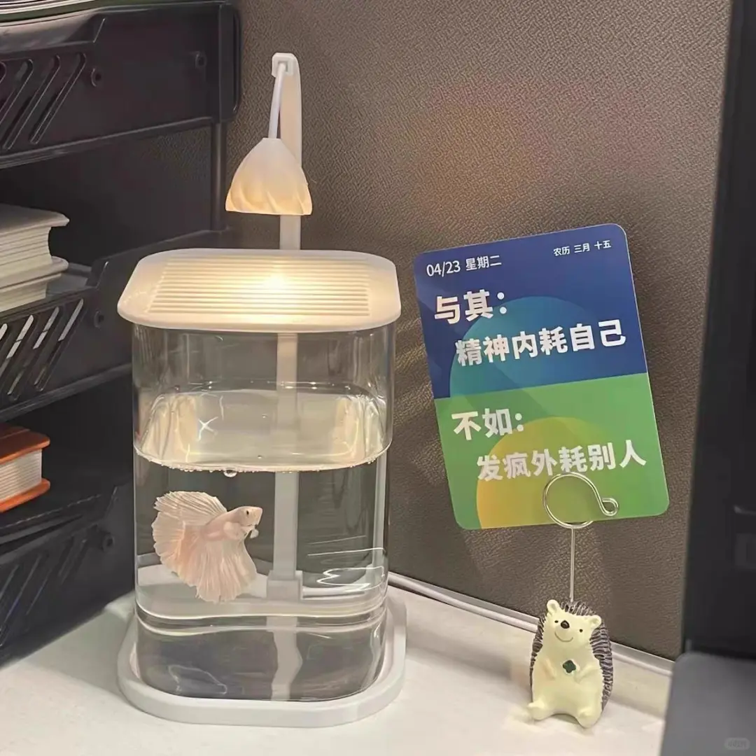 ?玻璃缸+小夜灯，氛围感拉满