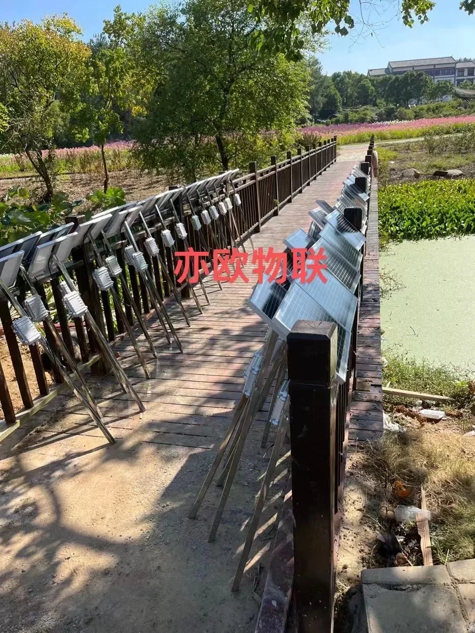 ?2023年做什么项目？新农人创业物联网