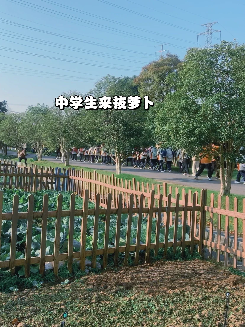 【2】农村电商，租地经营模式