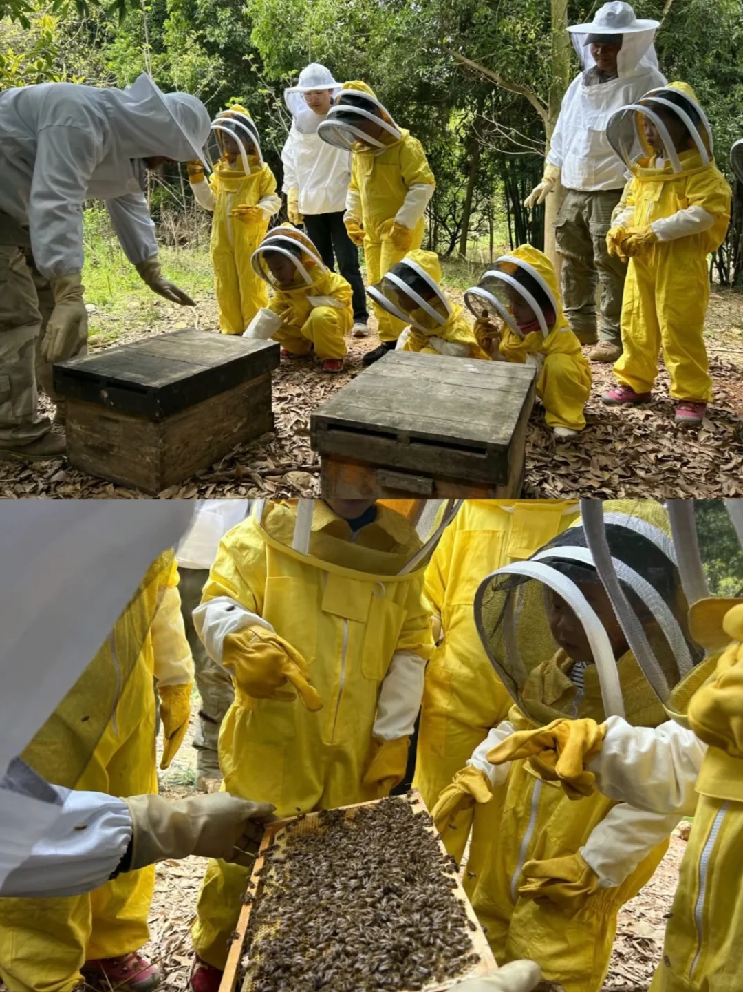 文旅＋研学 乡村振兴新模式