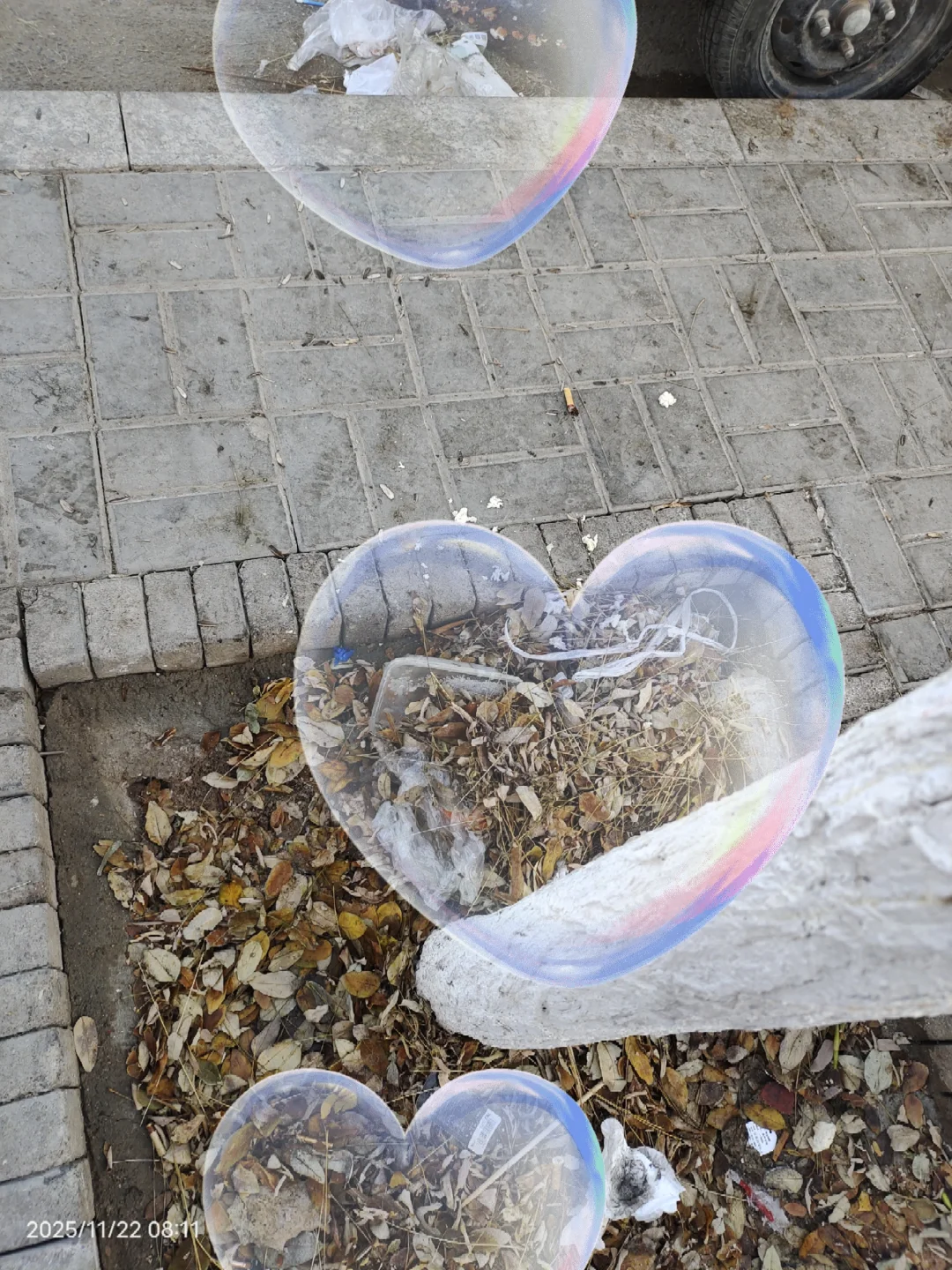 2025.11.22捡垃圾?