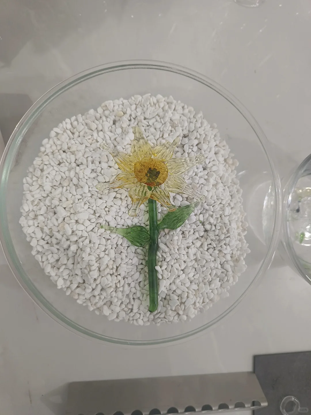 烧玻璃不限量，不限品客作小分享！