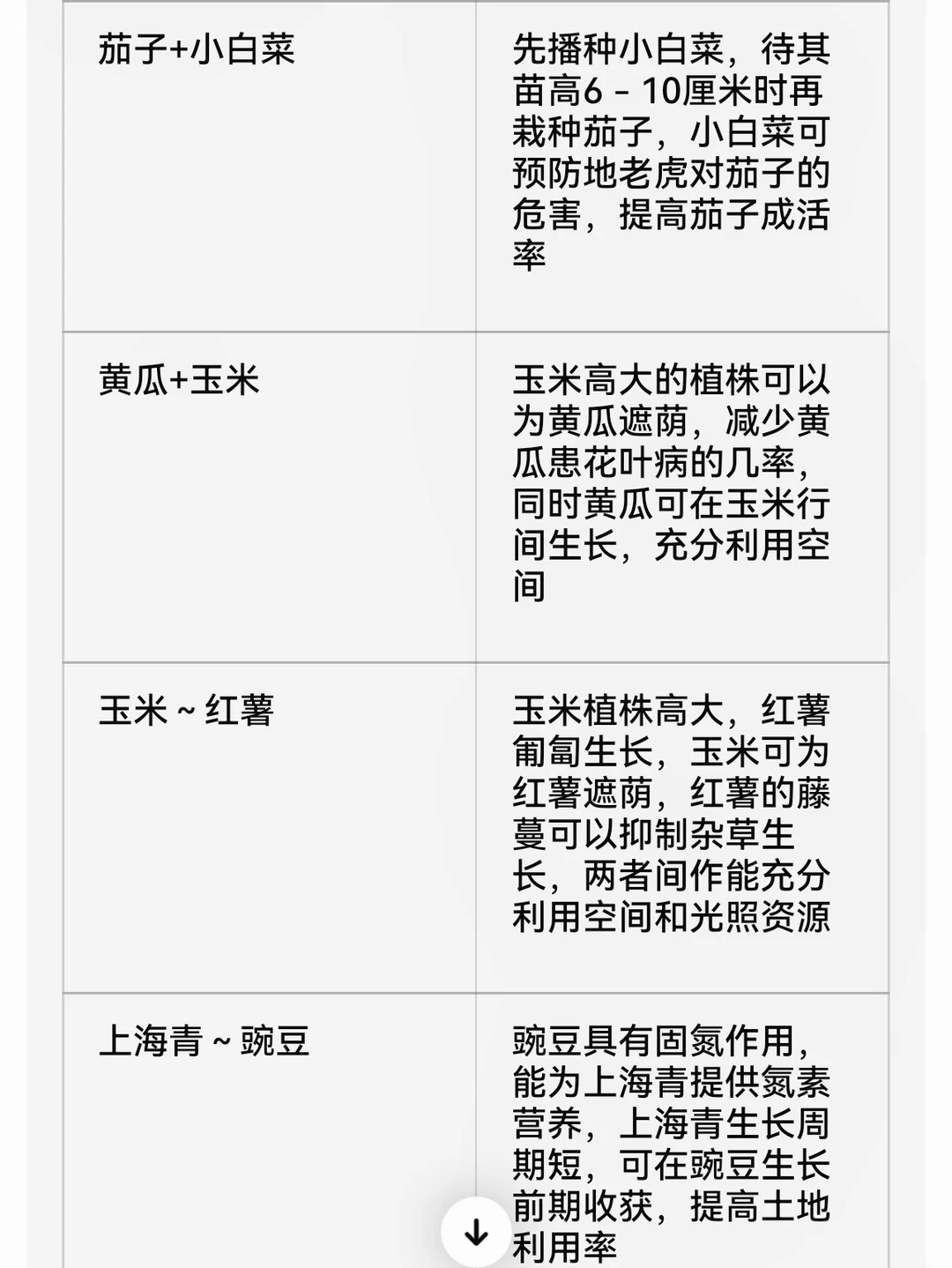 常用蔬菜套种表格