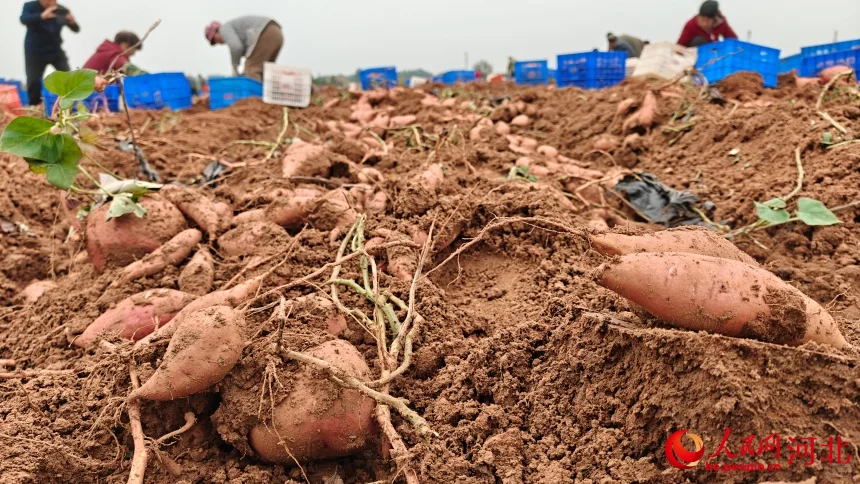 “生态伤疤”蝶变“网红地标”