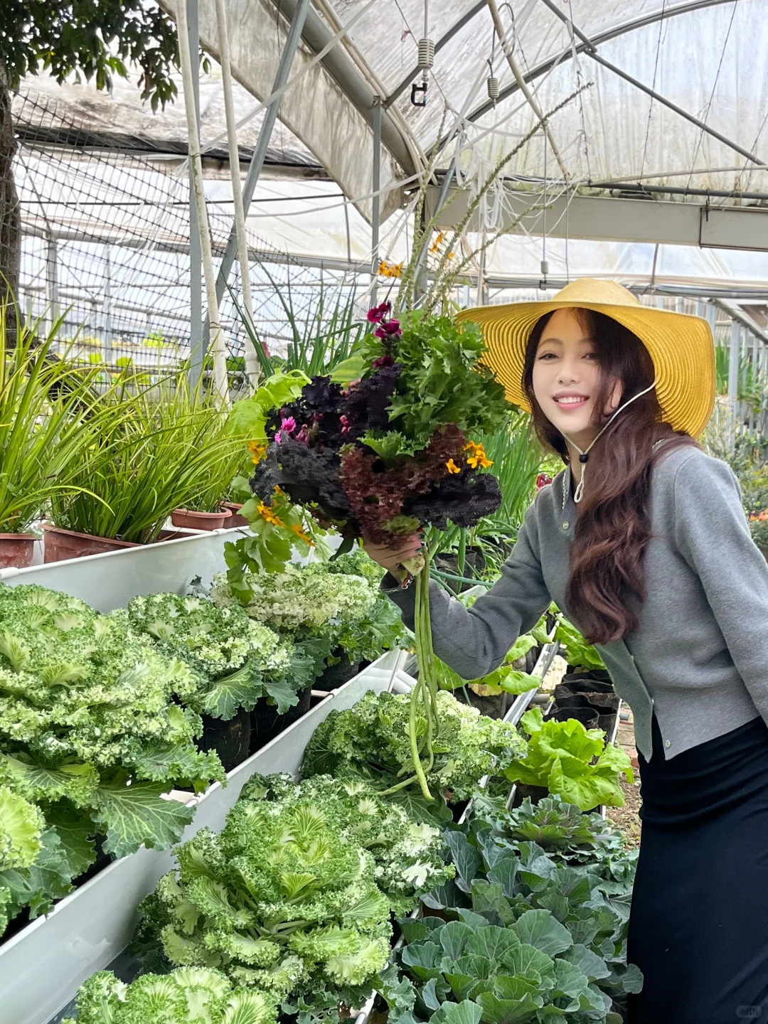 28岁不上班，在中山包了200亩地种菜?