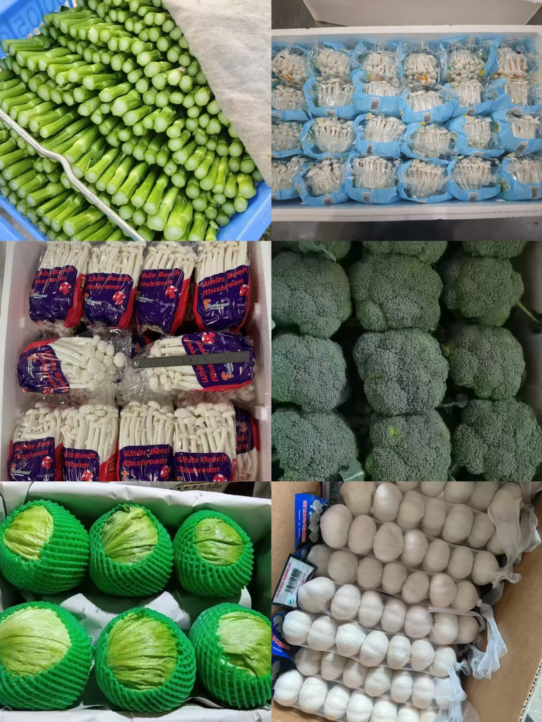 水果蔬菜专注出口，农产品出口多种国家