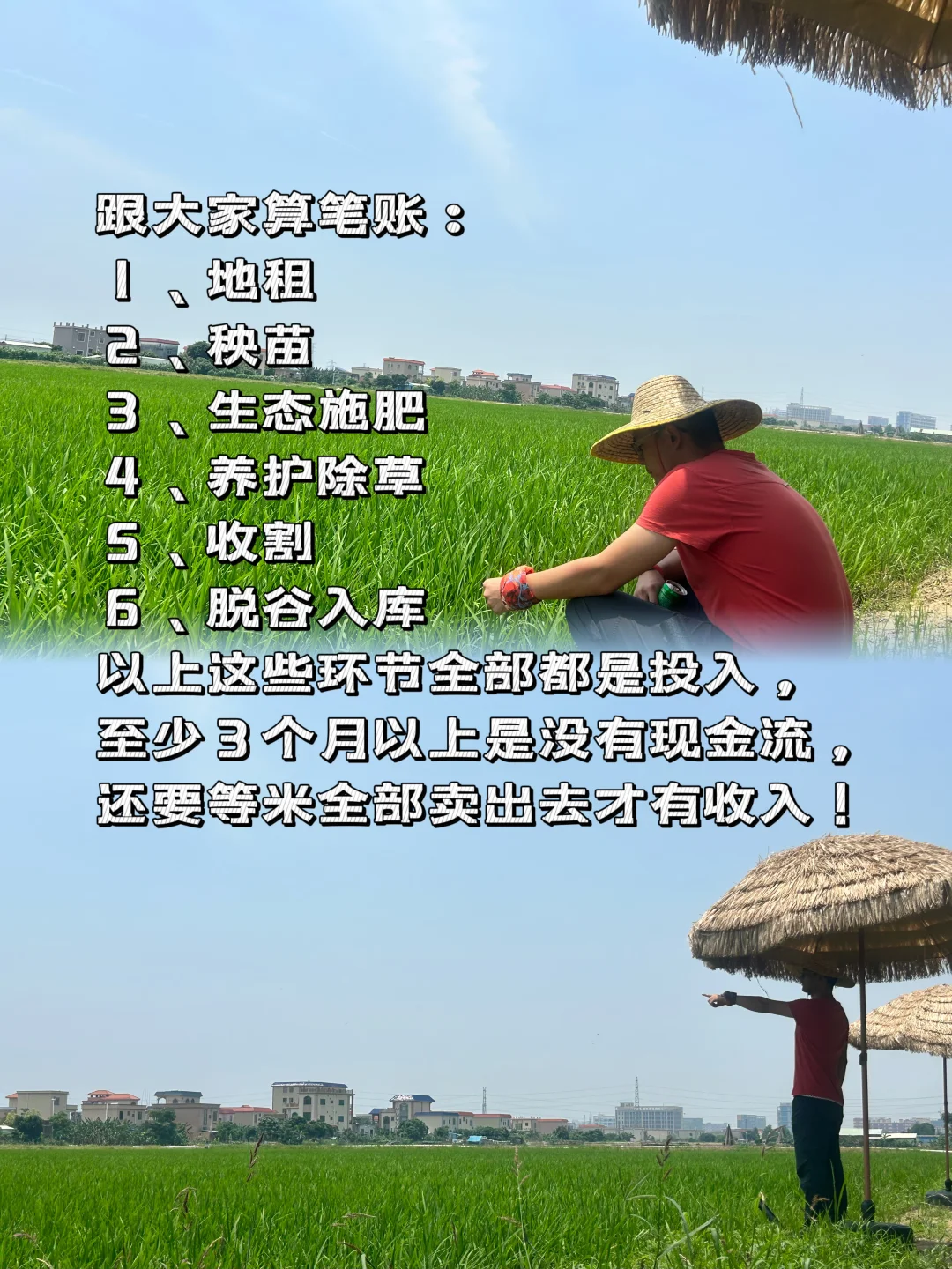 乡村振兴 | 大学生回乡创业做农业文旅