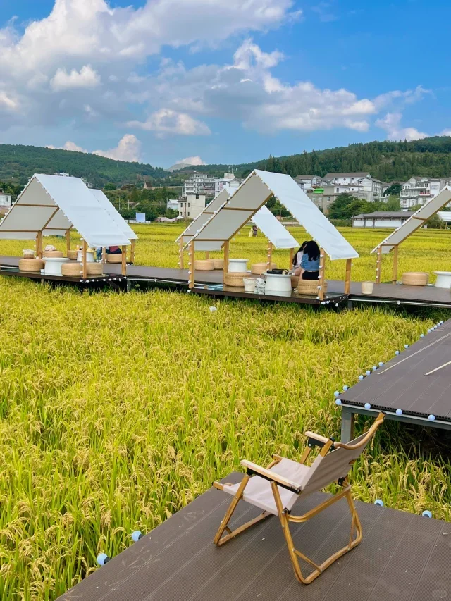 “治愈经济”：助力乡村振兴的温暖之风