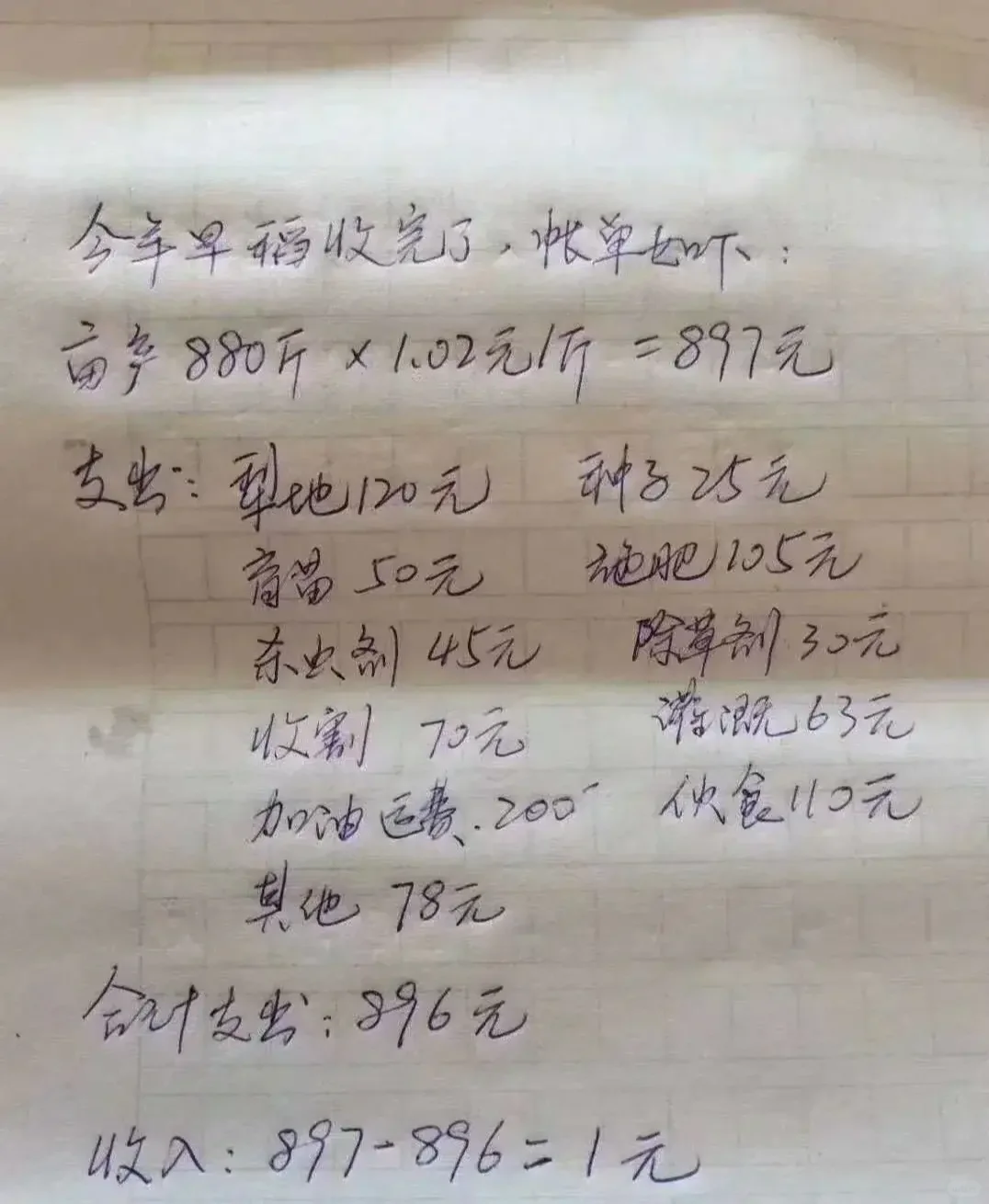 90后表哥本想种田赚一笔，哪知亏到了姥姥家