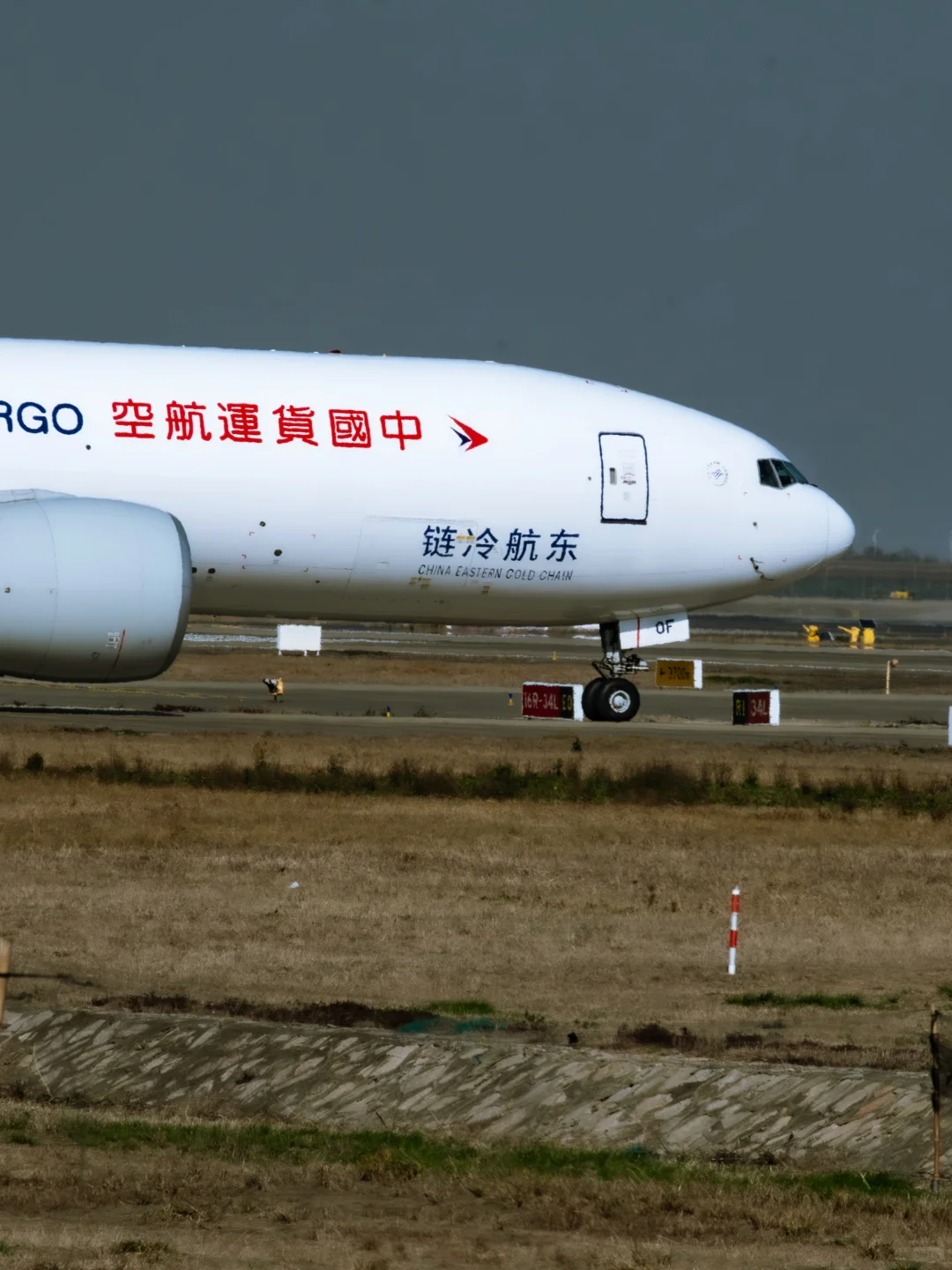 燕衔樱桃入中华