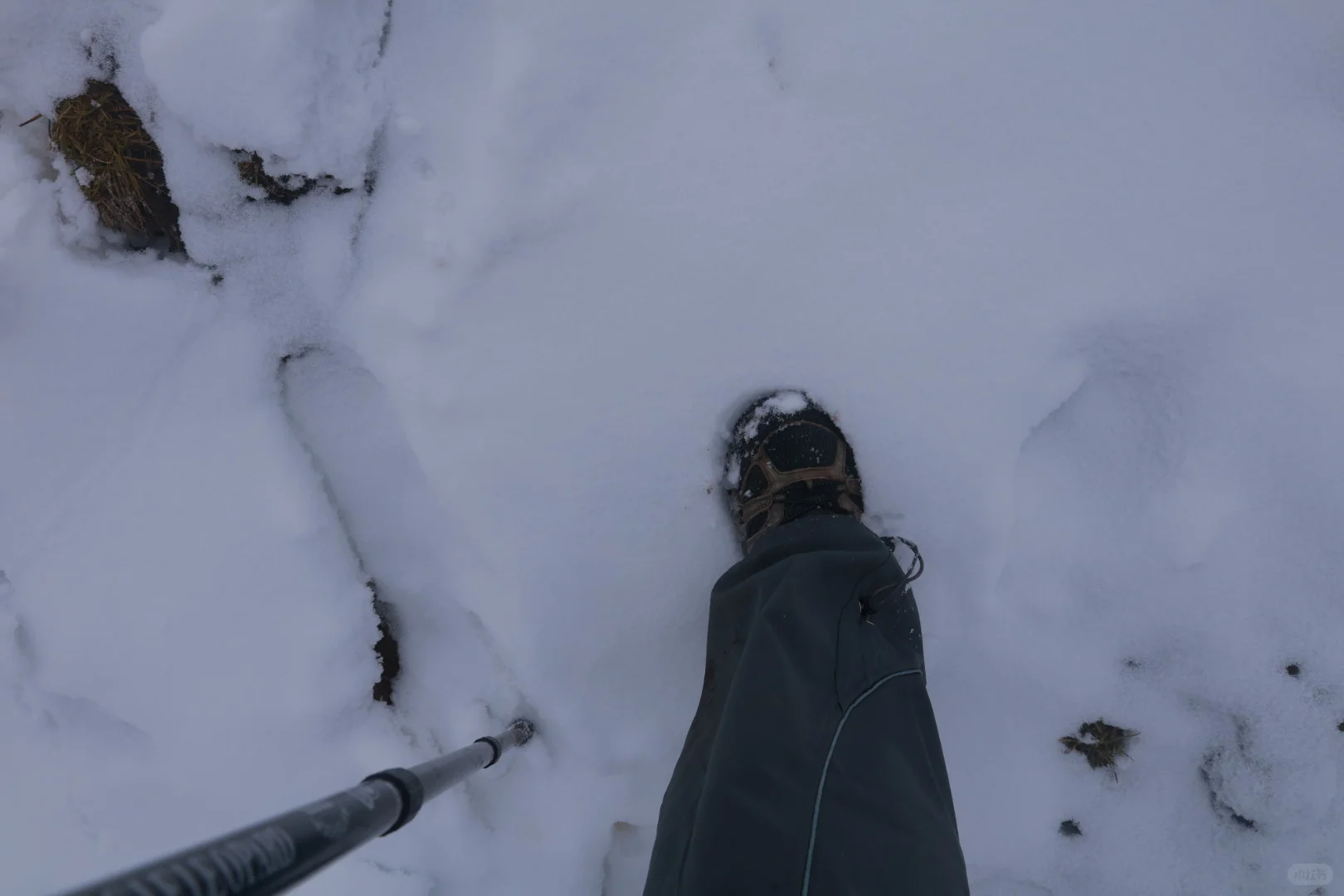 “山不向我走来，我便向山走去”