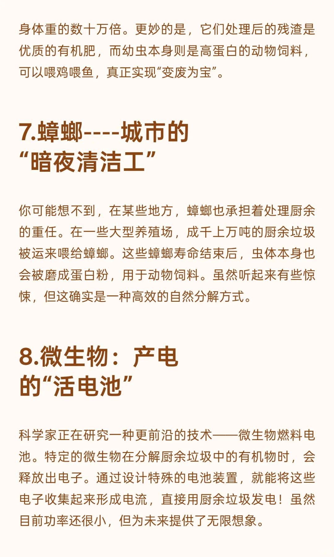 厨余垃圾也能变废为宝的“再生之旅”~让人