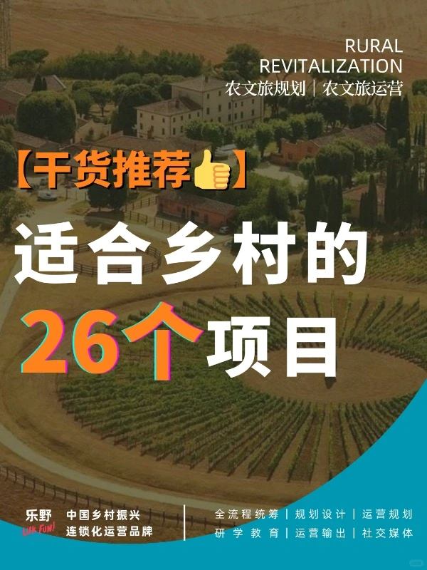 乡村推荐做的26个项目