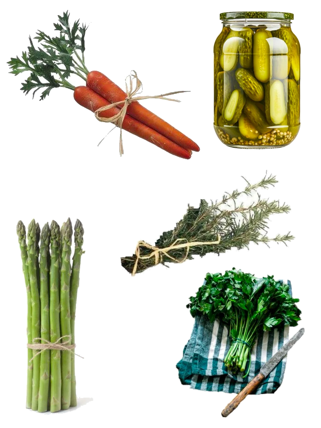 TS'sharing 素材分享第103期｜蔬菜水果