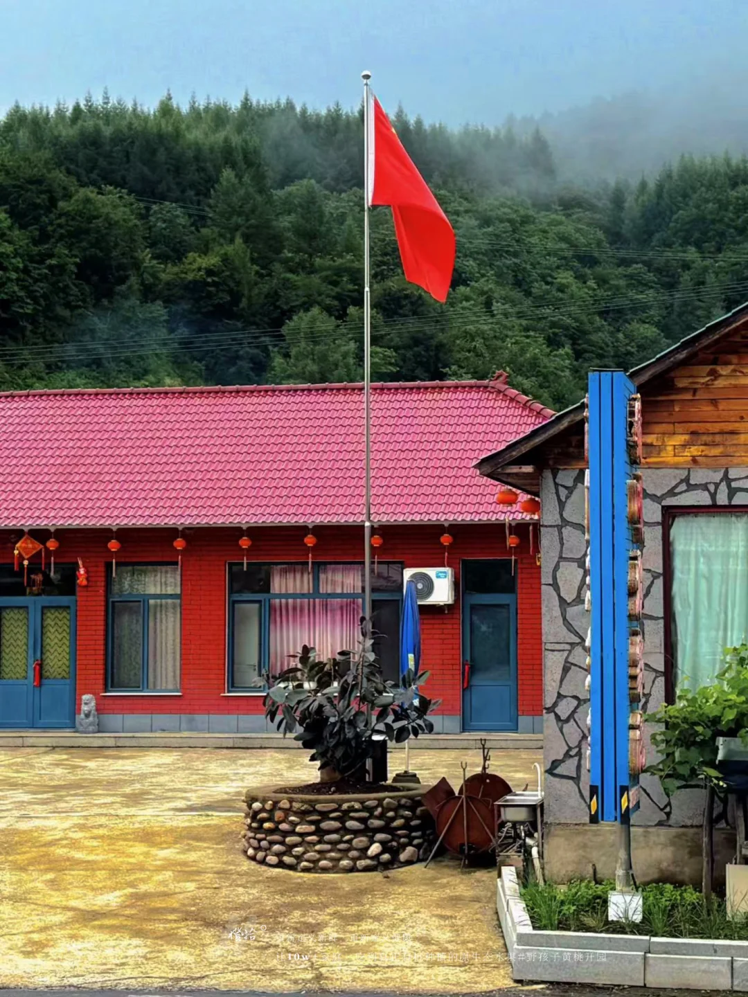 新农人必看！?表演?压力轻松YIN流