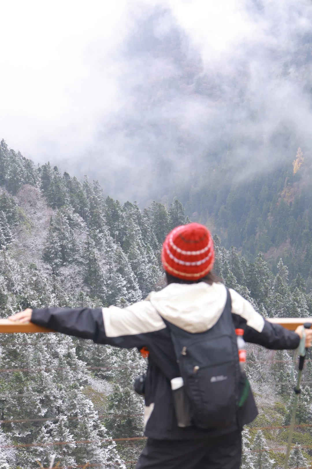 “山不向我走来，我便向山走去”