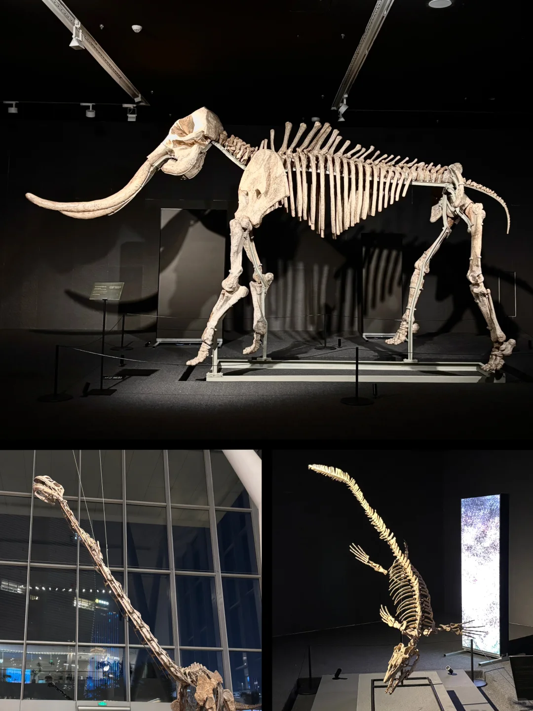 数字艺术 x 真品文物，解锁看展新体验✨