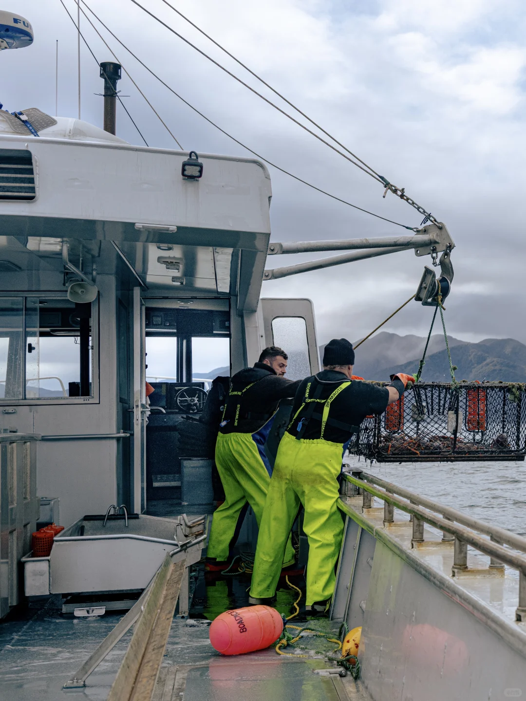 运输流程新升级?完成清关手续只需3小时？