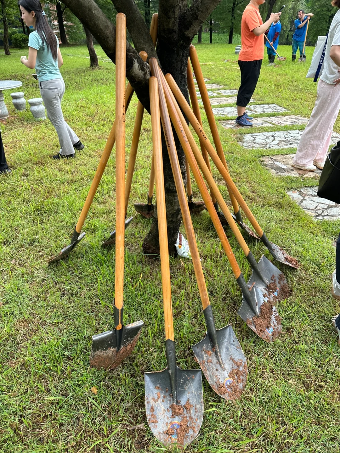中大研三 ｜ 参加植树活动了?