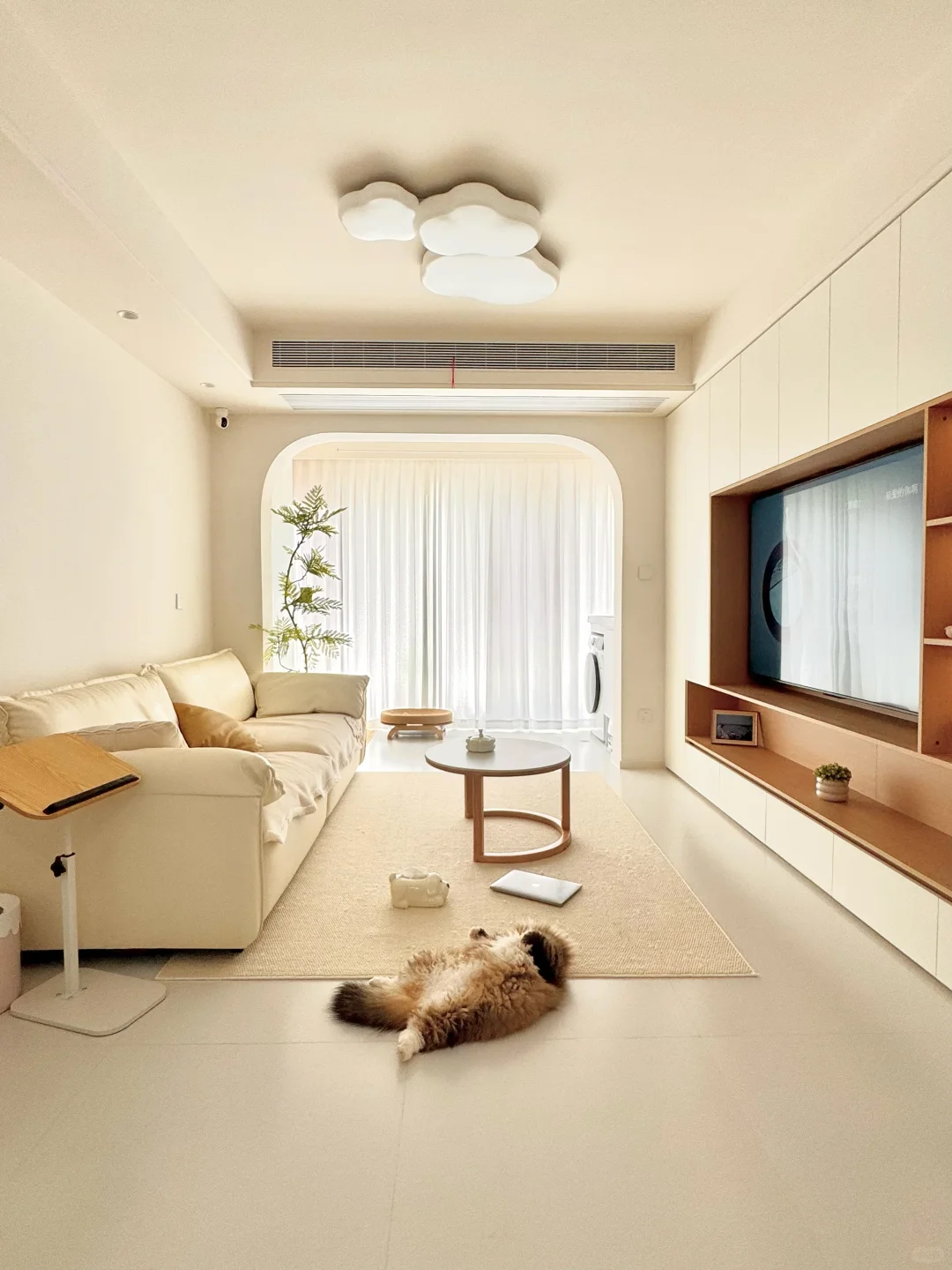 被疯狂抄作业的满墙柜子，?1.2W 值不值呢