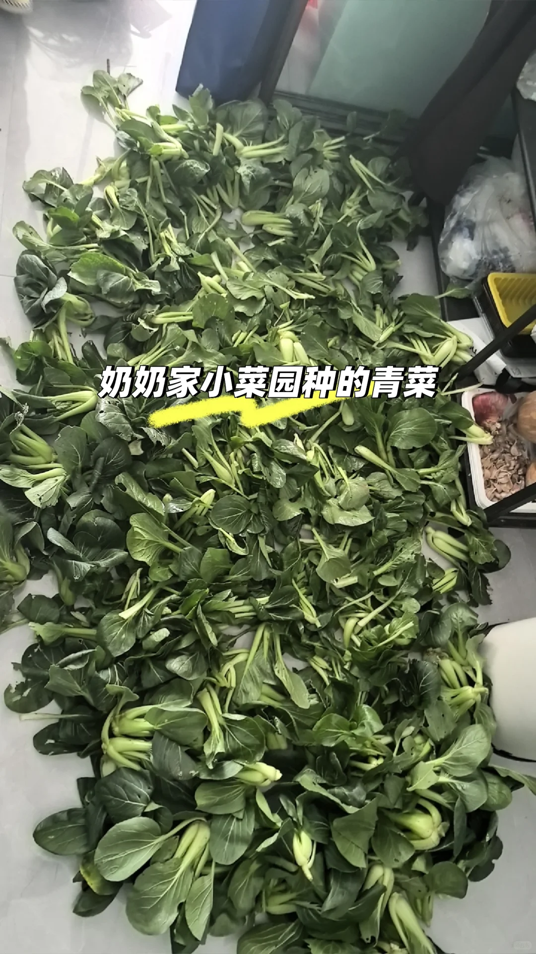 婚后三年才懂得了老人种植的粮食有多珍贵