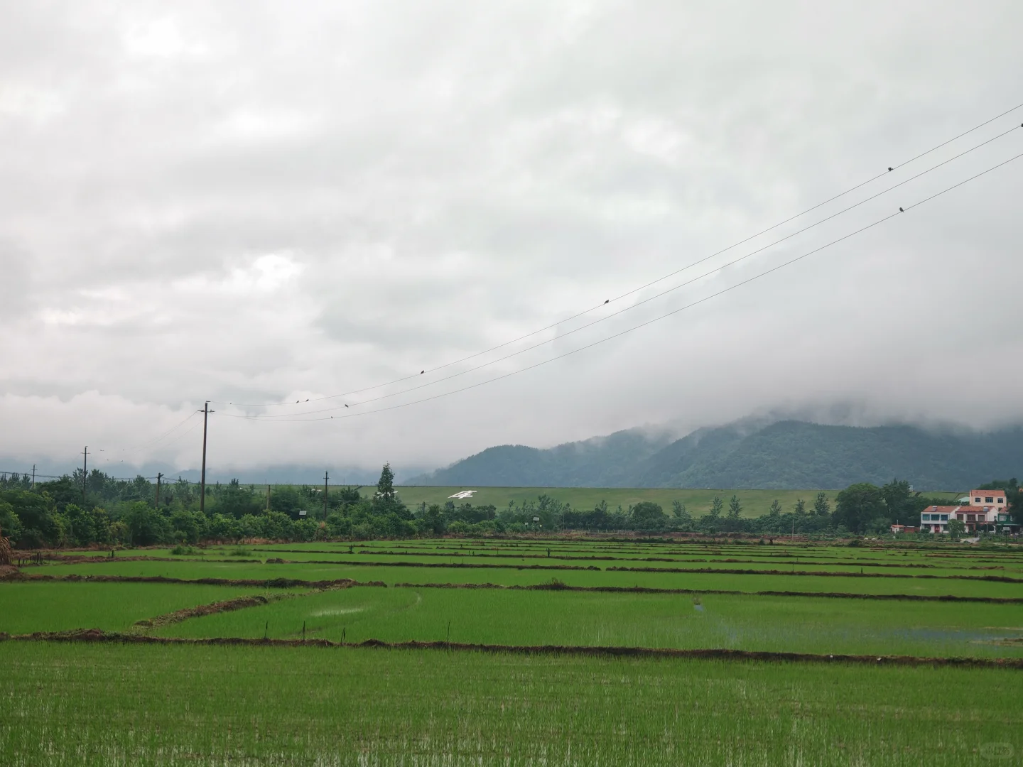 乡村工作第九年