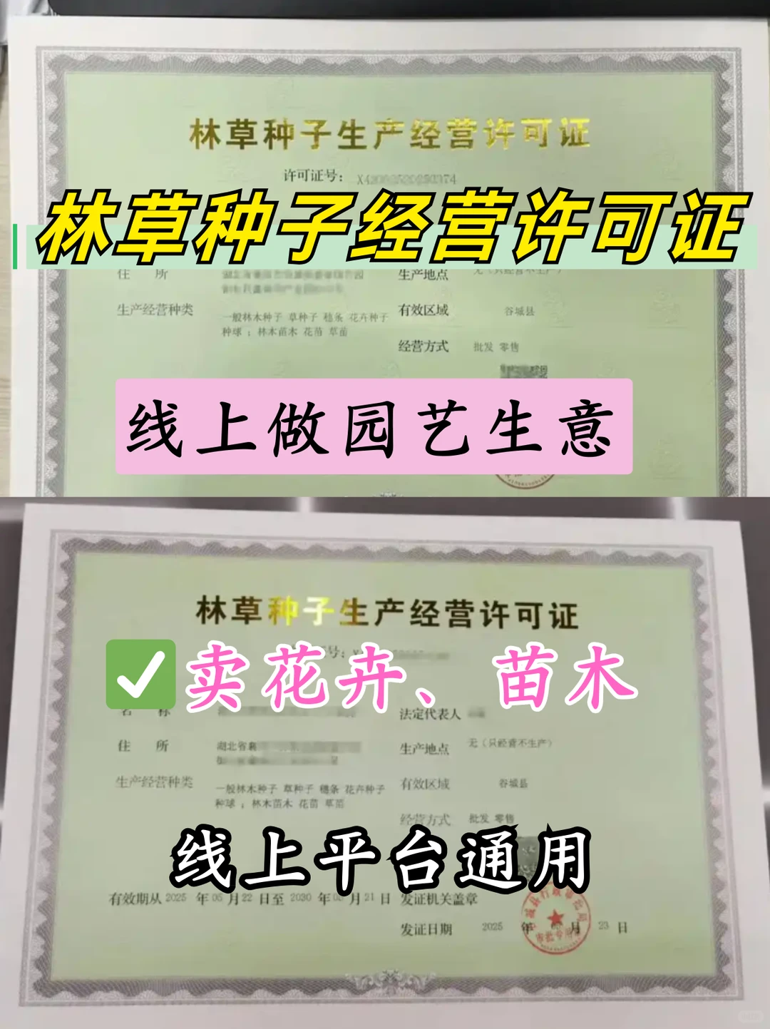 线上园艺店，如何办理林草种子经营许可证？