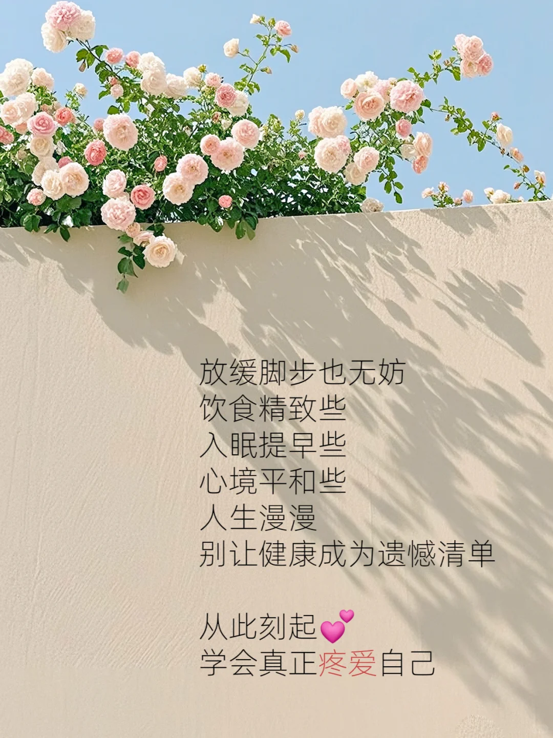 每日养生小知识?慢养人生