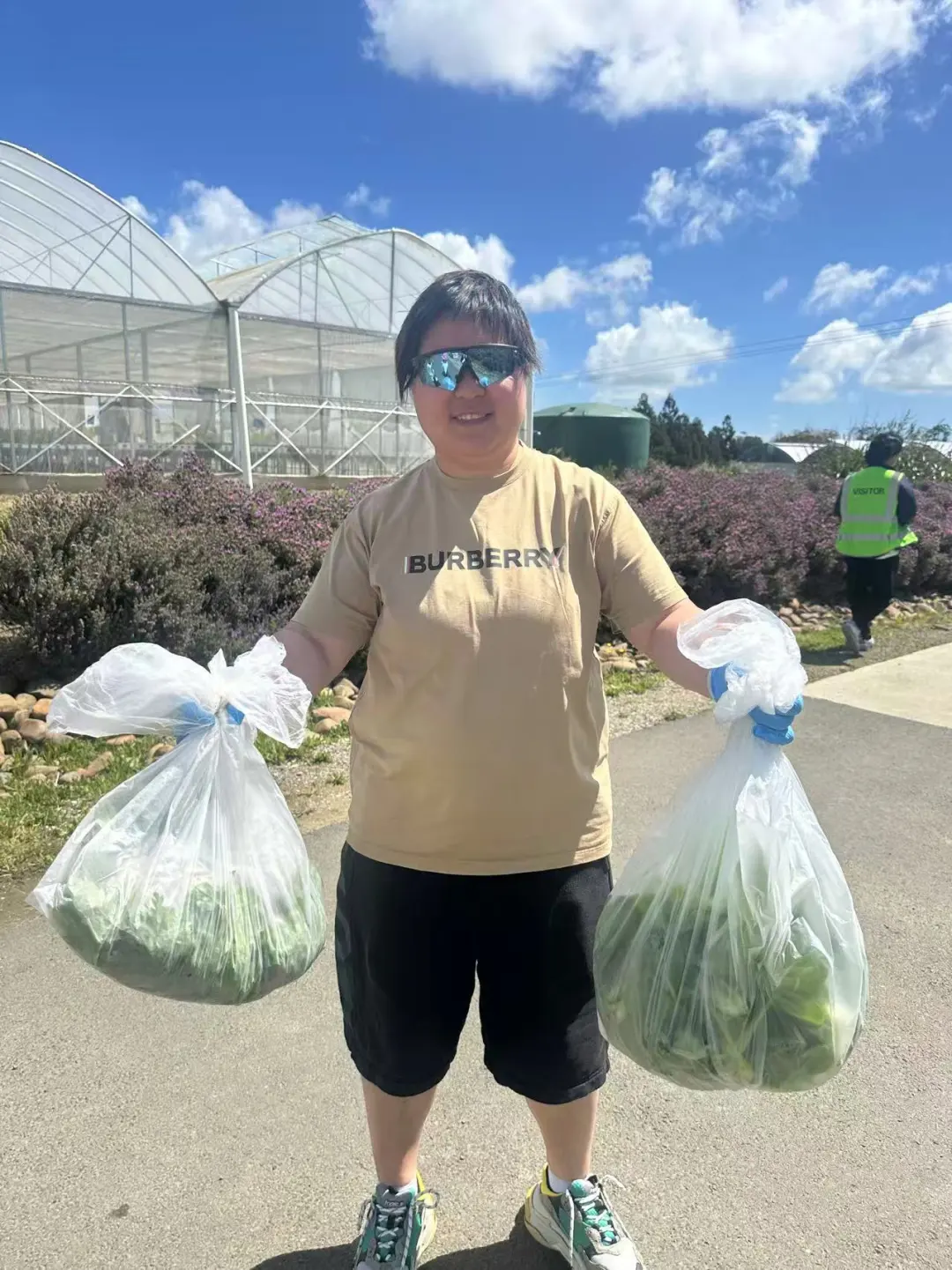 奥克兰周末正确打开方式｜体验蔬菜种植采摘