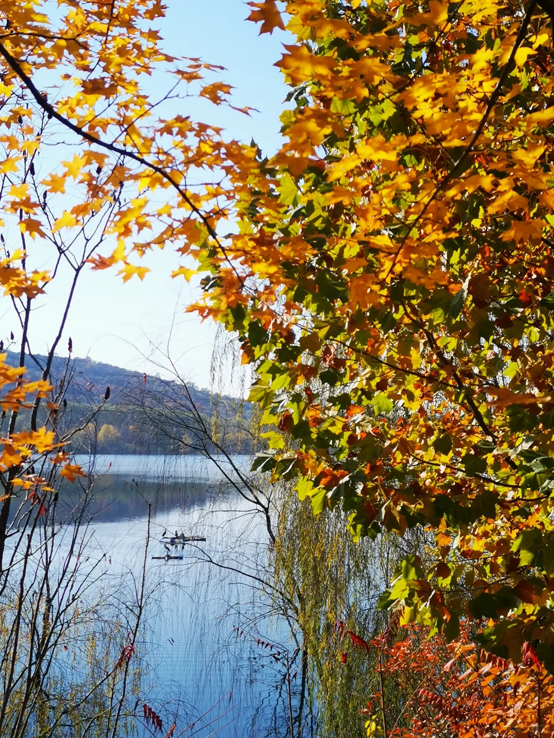 北京市西郊雨洪调蓄工程