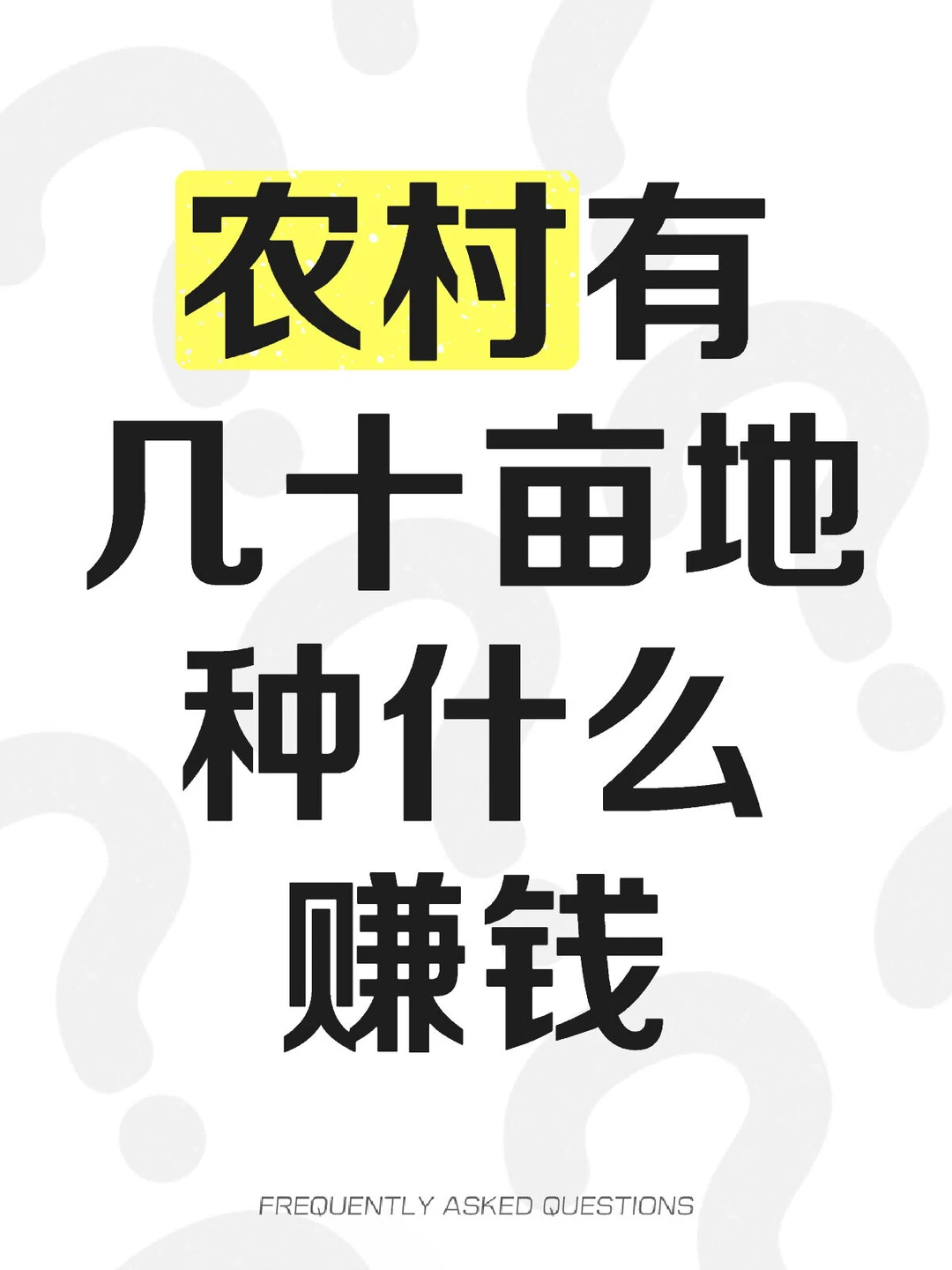 农村有几十亩地种什么赚钱