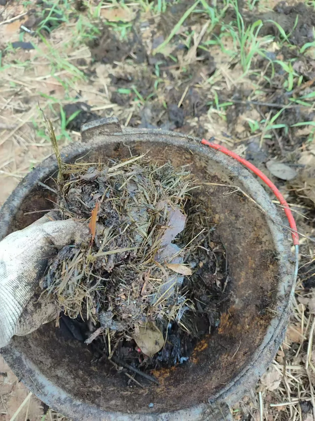 ?堆肥小妙招，生活垃圾变宝藏?