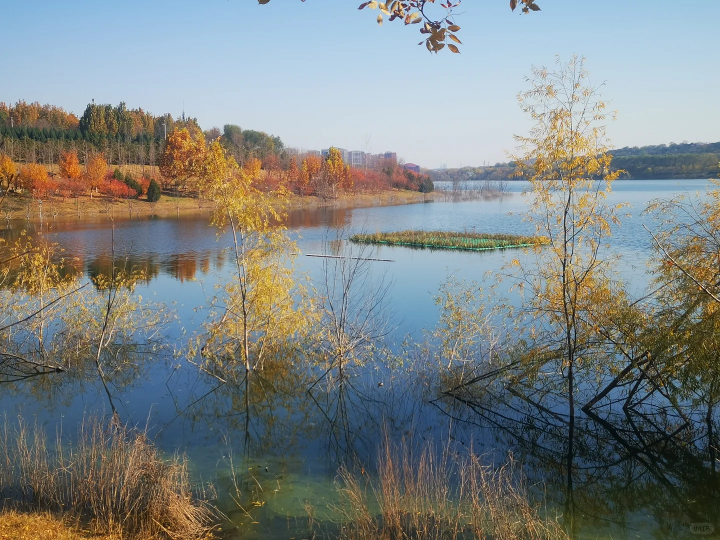 北京市西郊雨洪调蓄工程