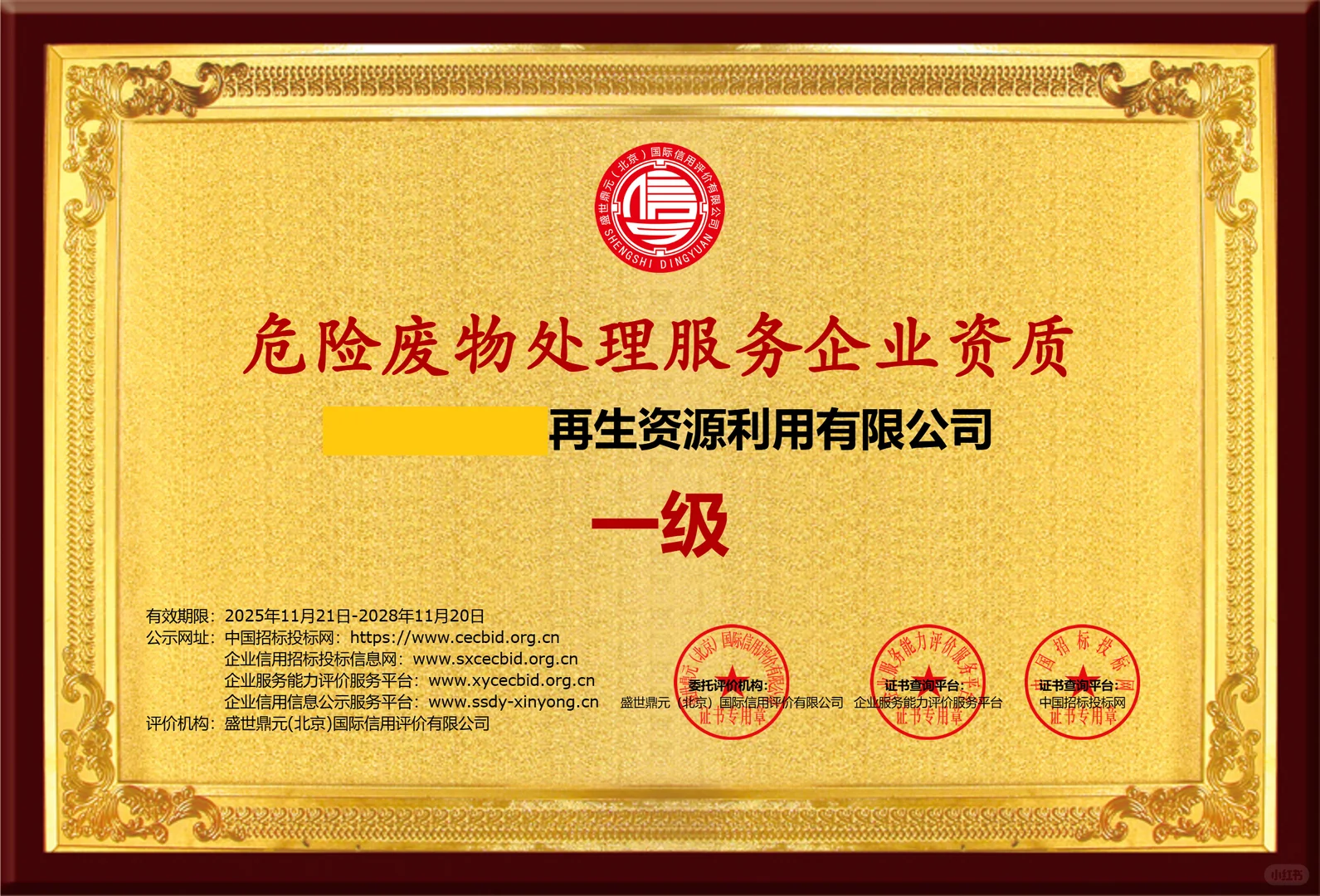 危险废物处理服务企业资质证书一级案例