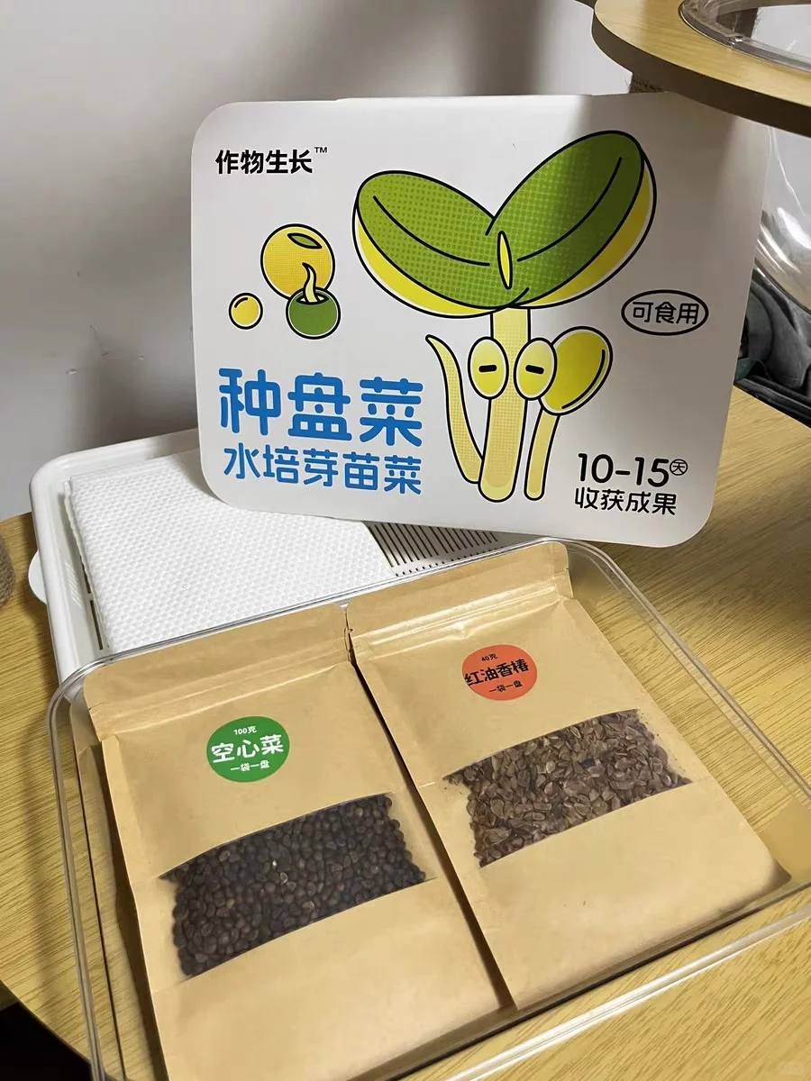 种菜？我连土都不用！