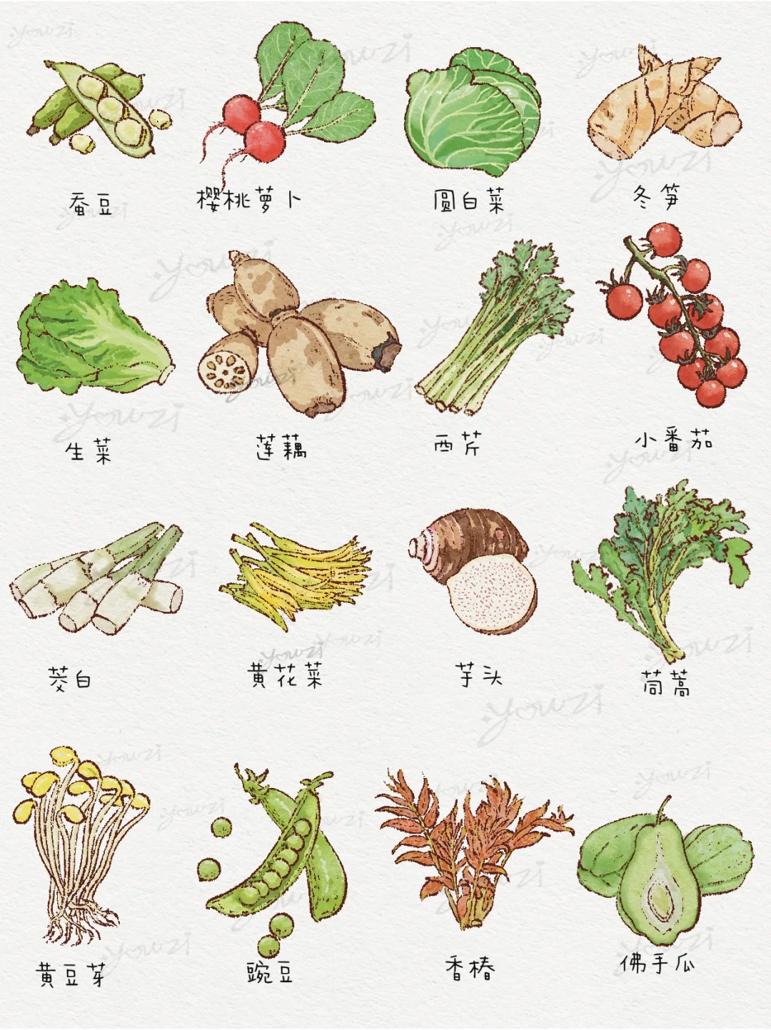 常见64种蔬菜插画大全｜爱吃蔬菜星人???
