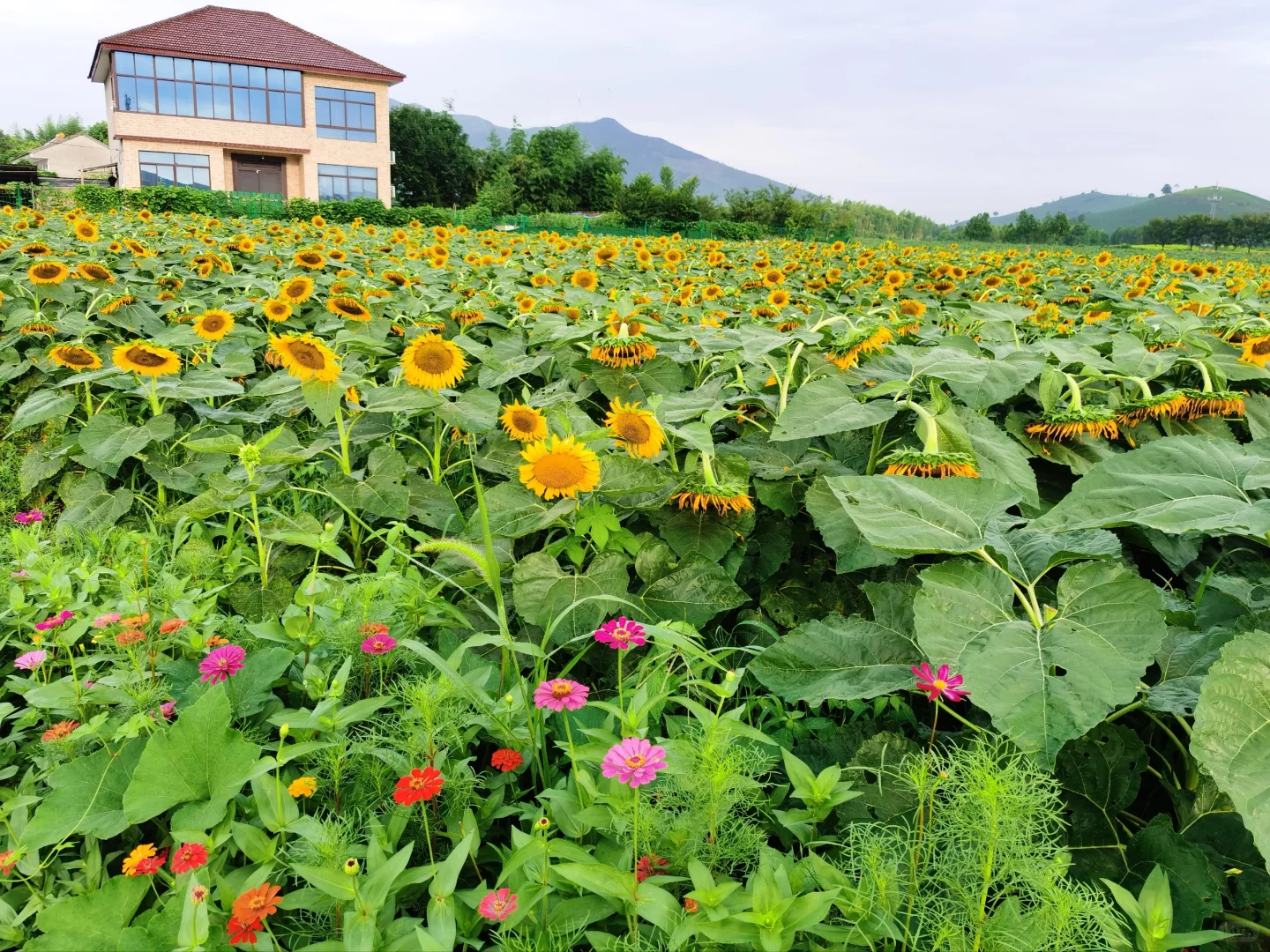 如何开发农村旅游资源？