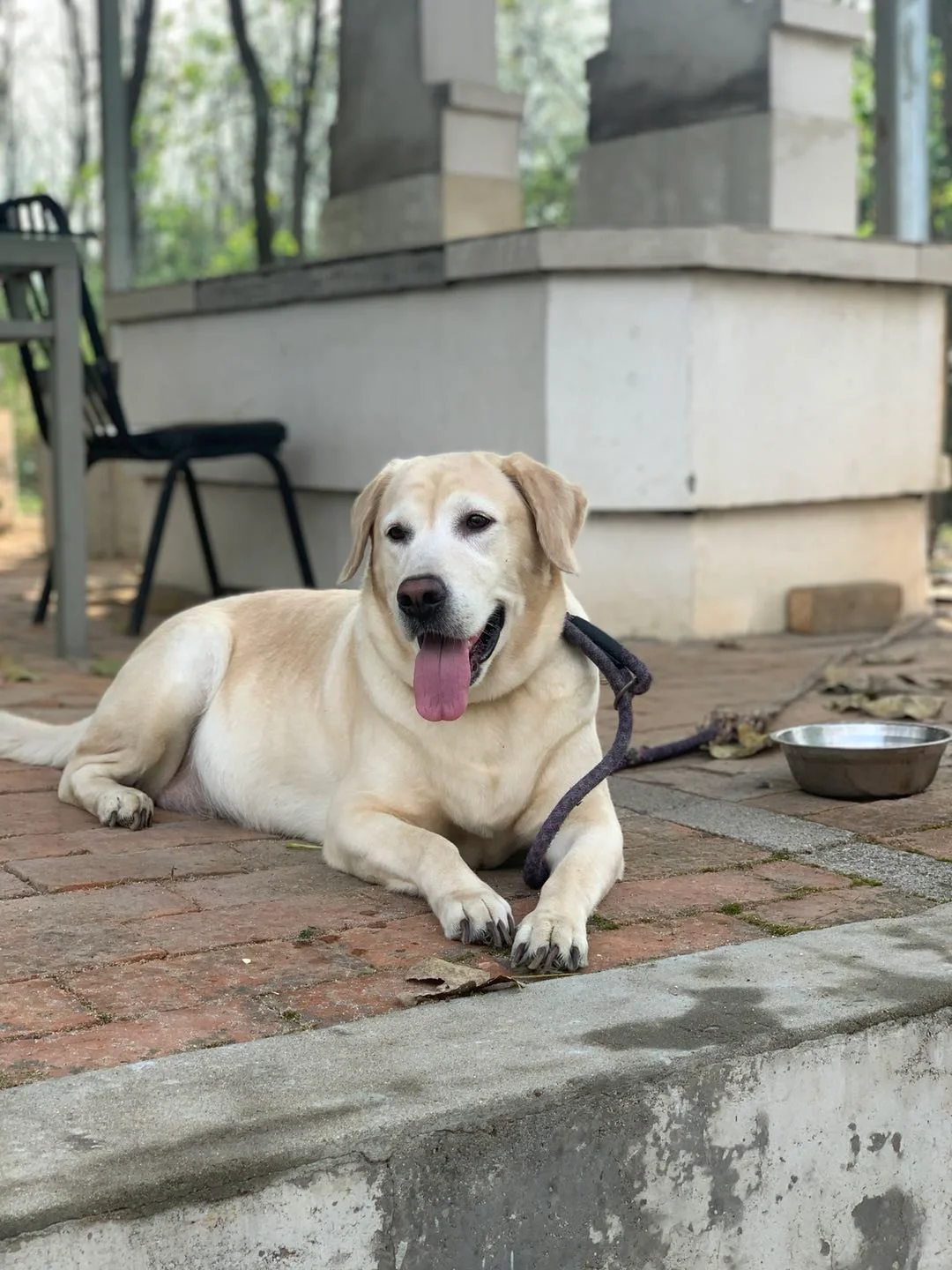 千万别信，卷不动就去乡下做农场