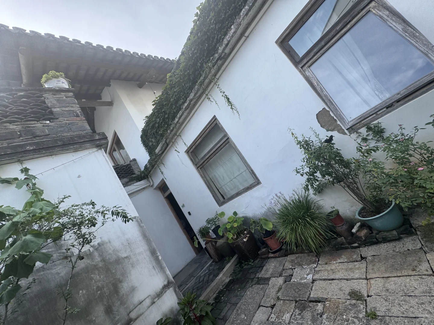 ?【民宿兴乡调研Day1】