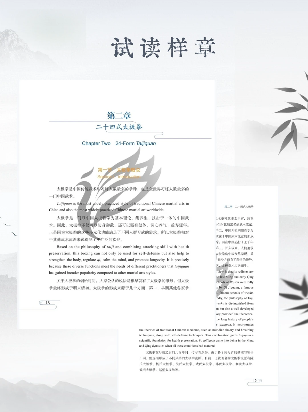 中华武术国际传播新思路? 海外教学超省心