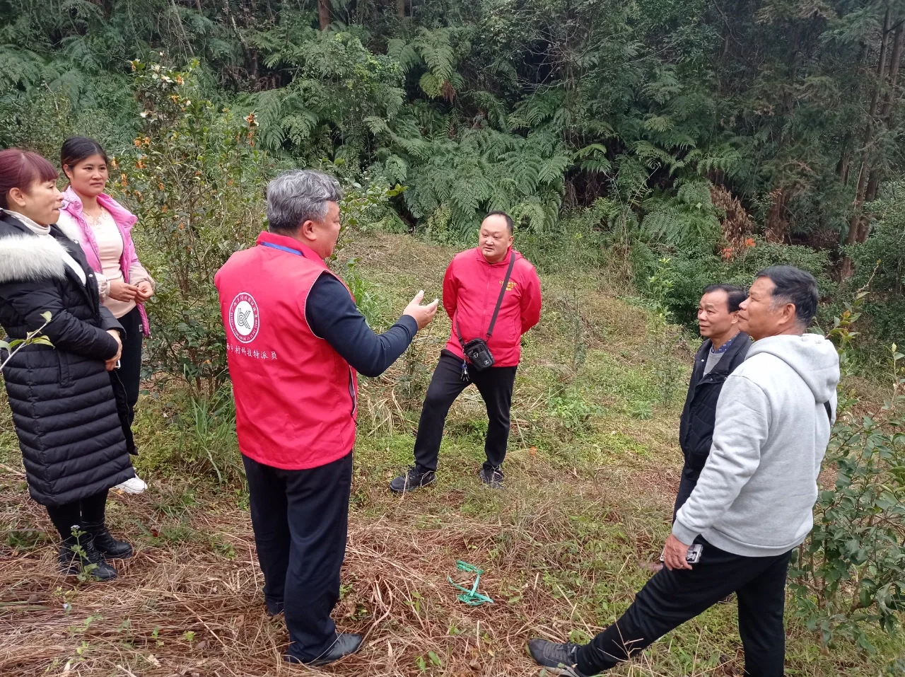 田间课堂-交流经验，精进技术