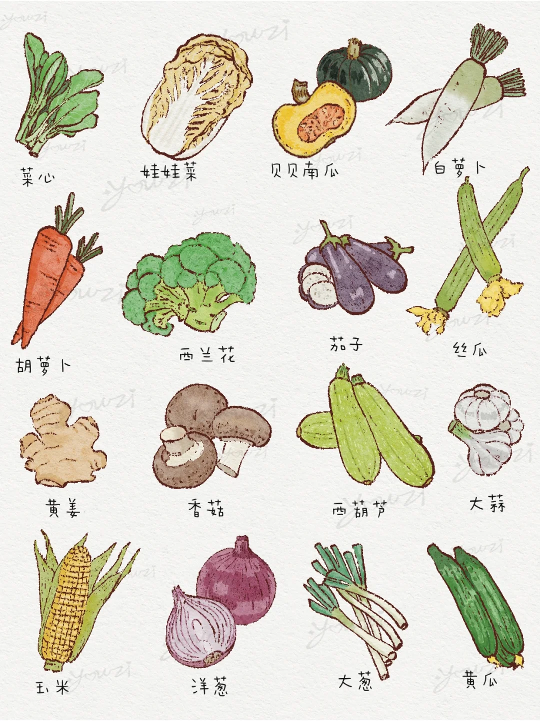 常见64种蔬菜插画大全｜爱吃蔬菜星人???