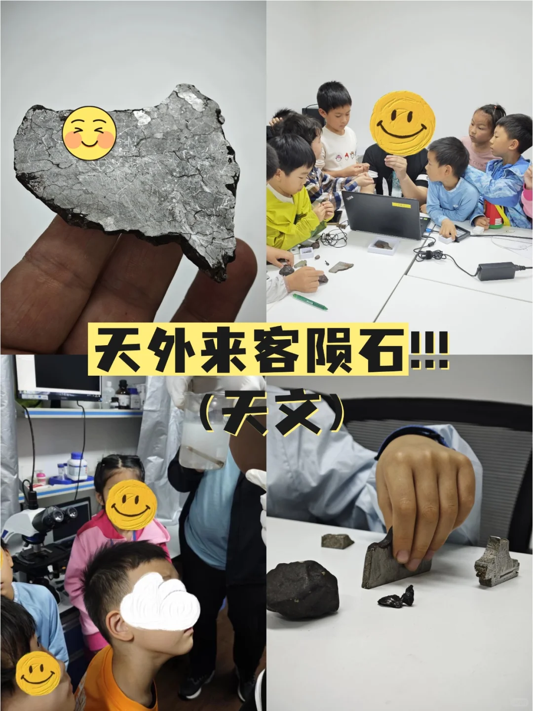 中科院主题兴趣体验清单?11-2月研学合集