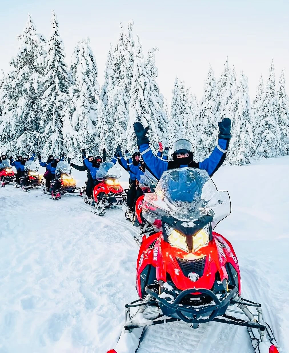 北欧追光：帝王蟹+玻璃屋，一价全含！