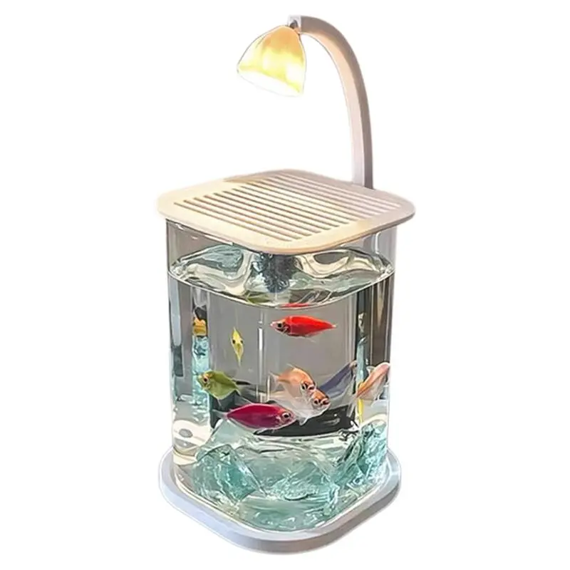 ?玻璃缸+小夜灯，氛围感拉满