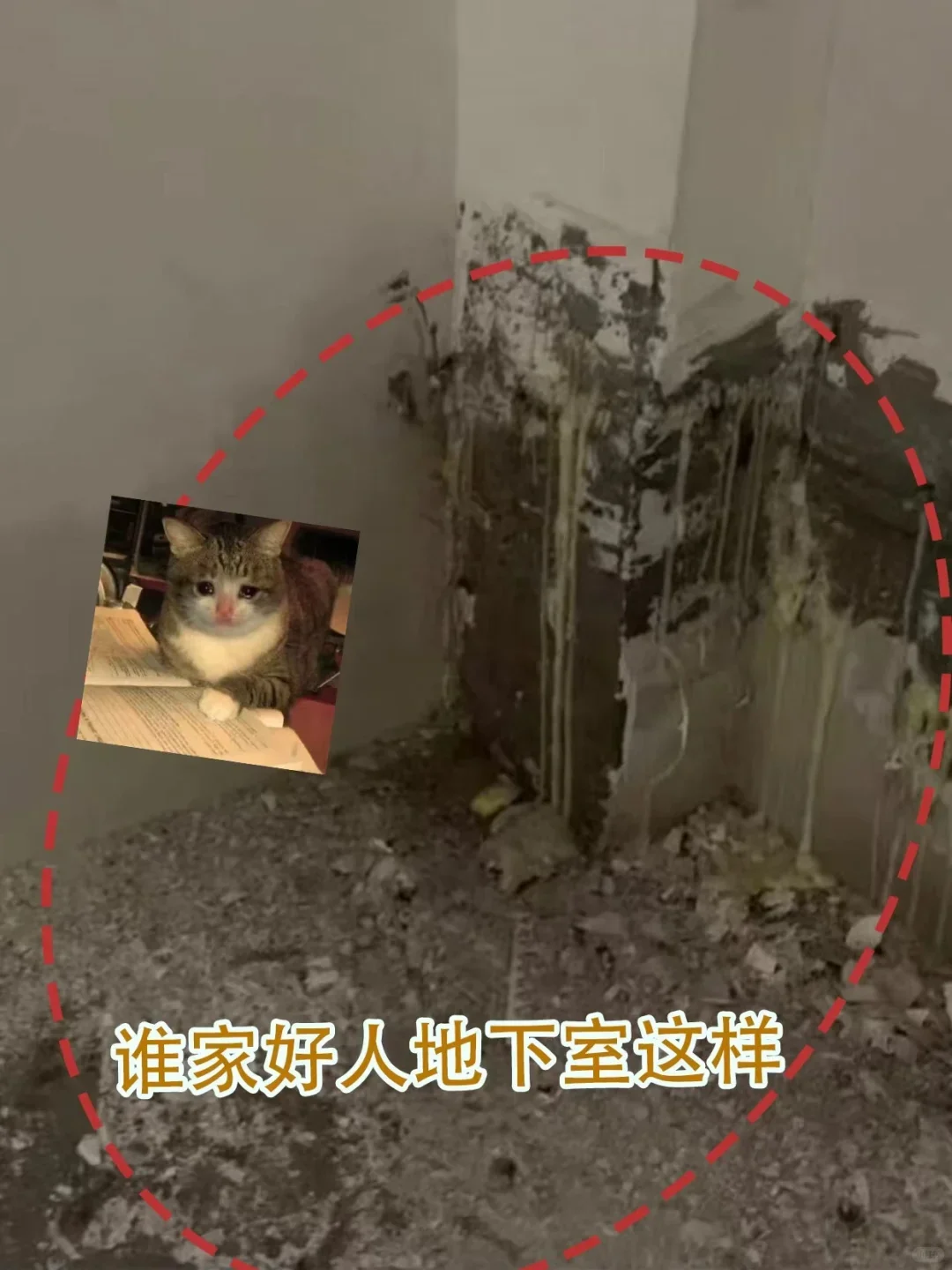 爽翻❗️在重庆笑我地下室漏水到人都闭嘴了