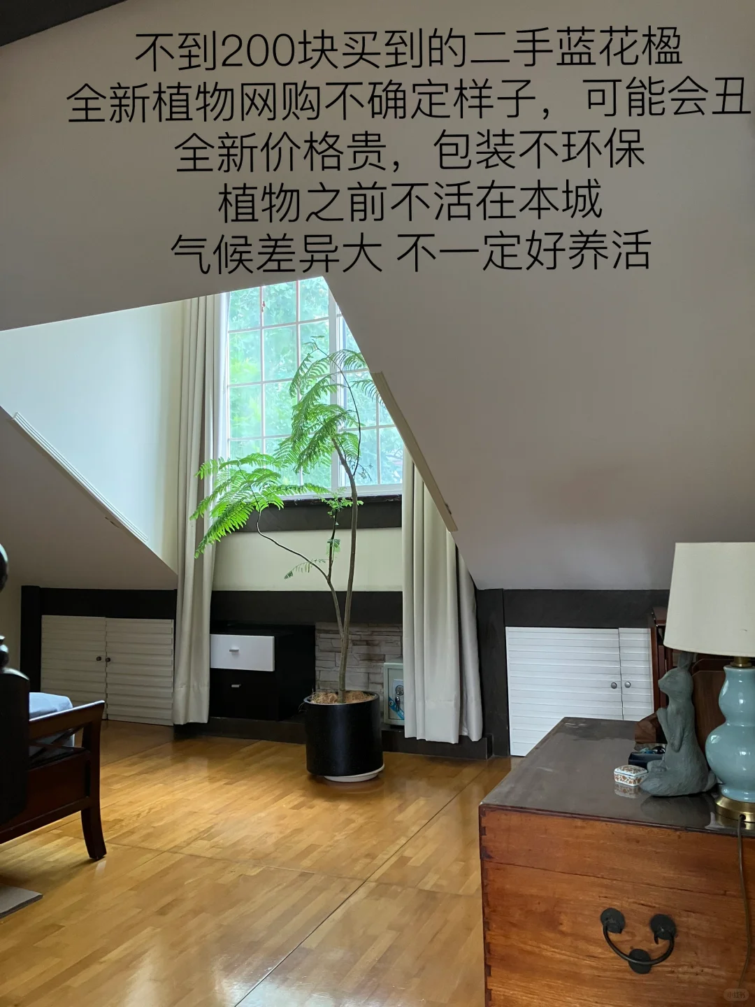 环保主义，家里是什么样子的？??