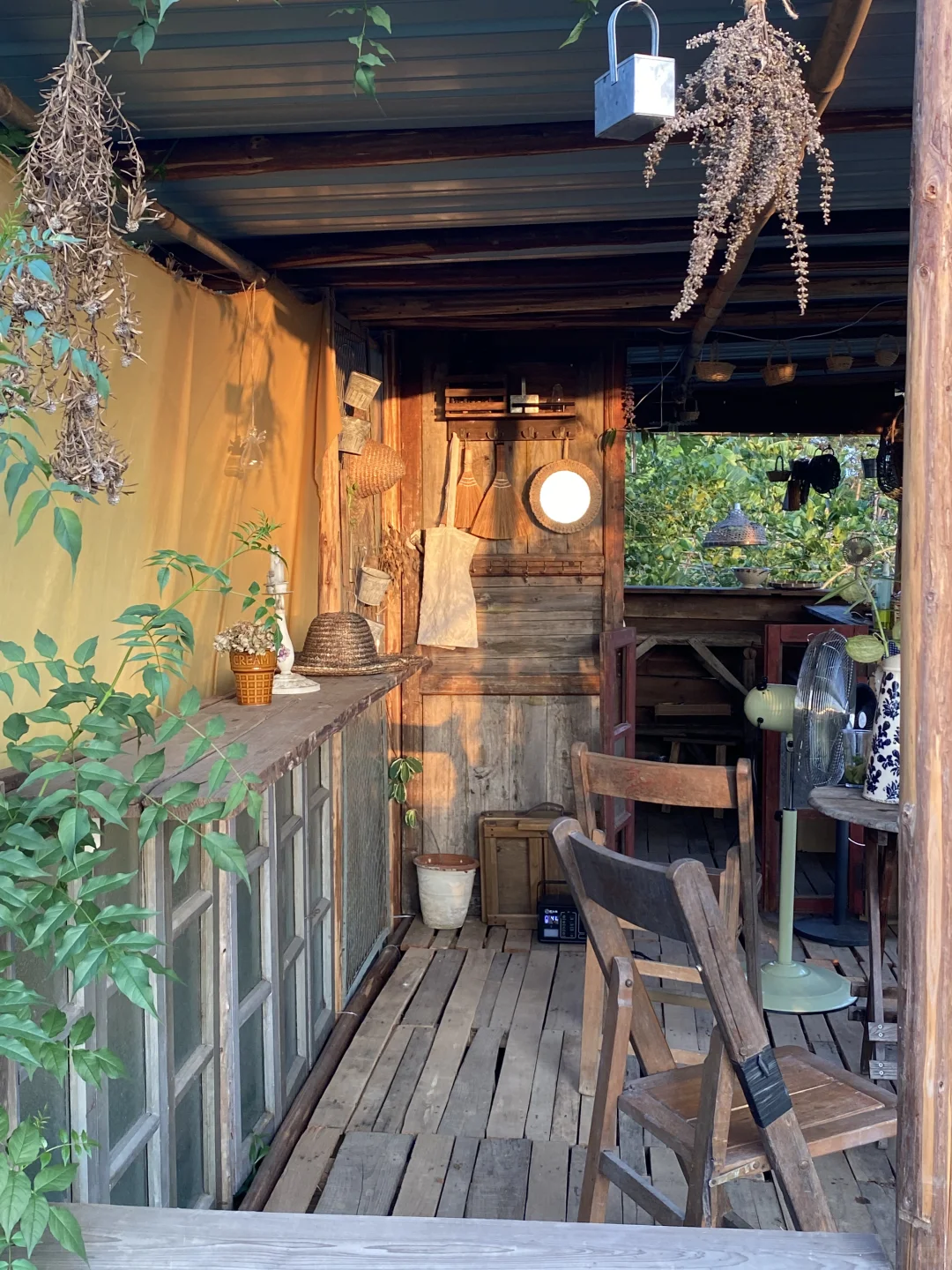 29岁，在广州拥有一个小而美的农场??‍?