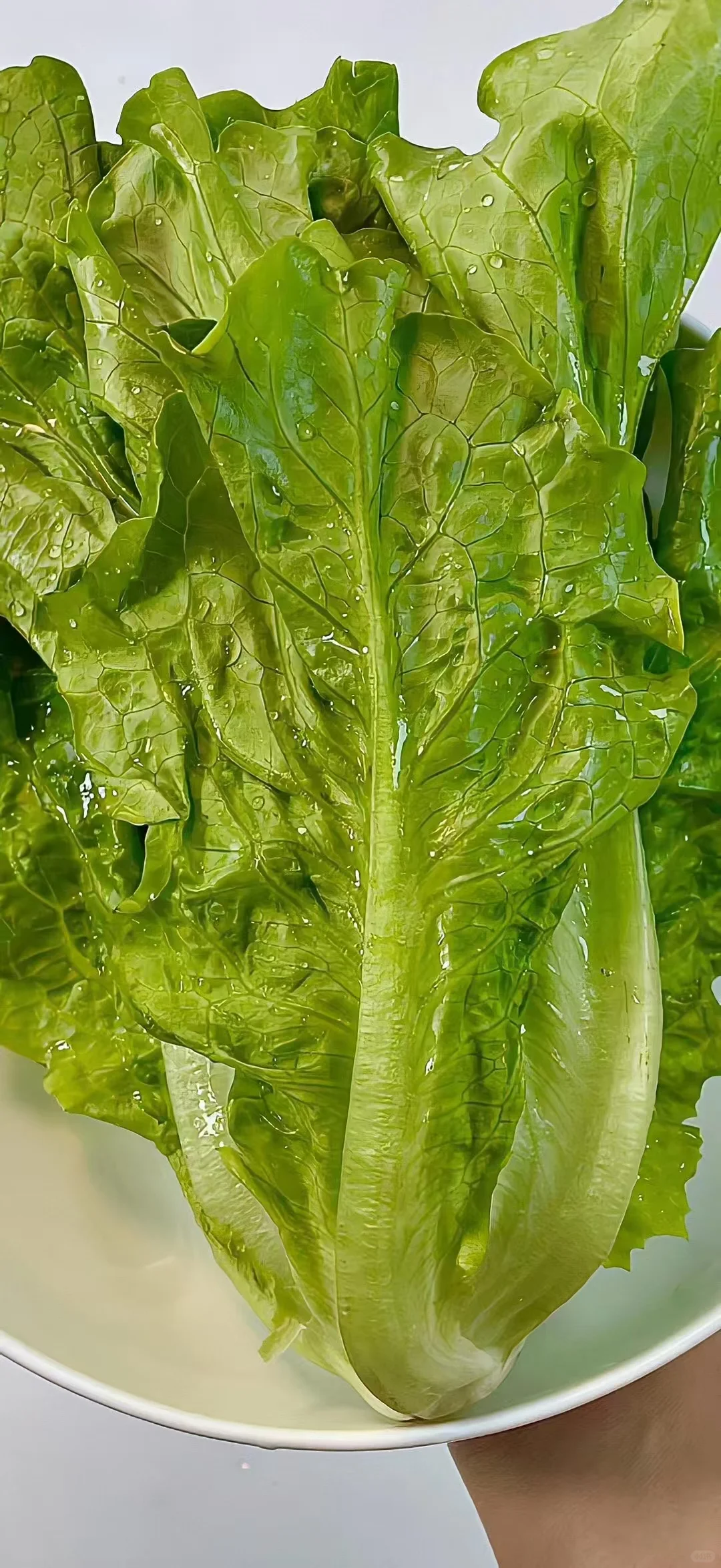 治愈系蔬菜壁纸～