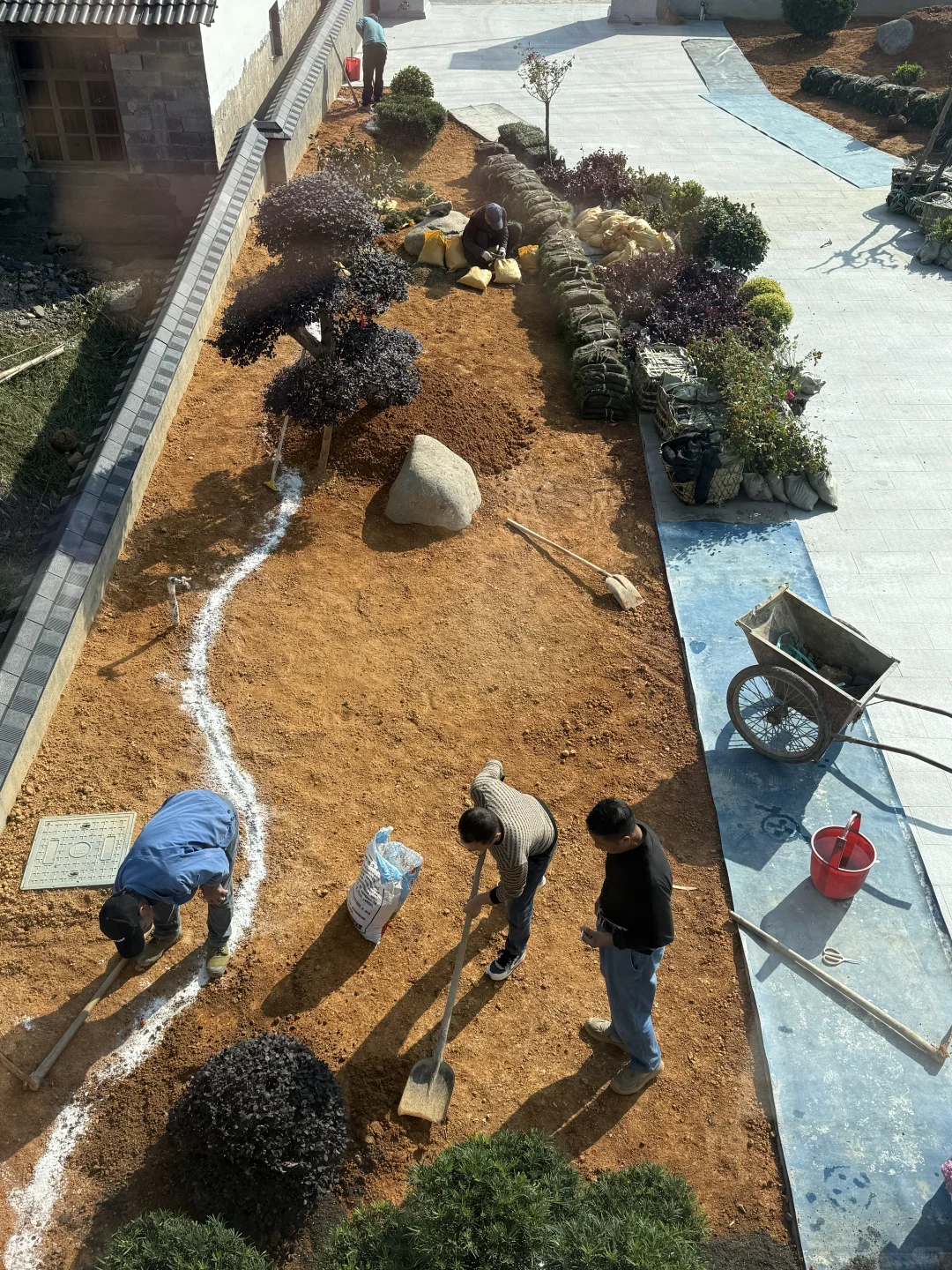 自建房小院开始种花花草草啦????